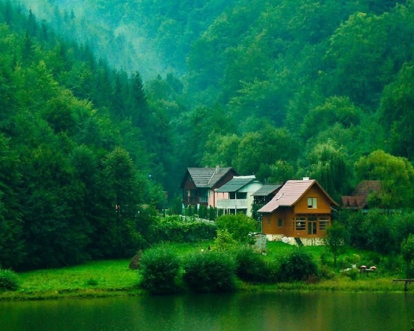 Leçon de la vie